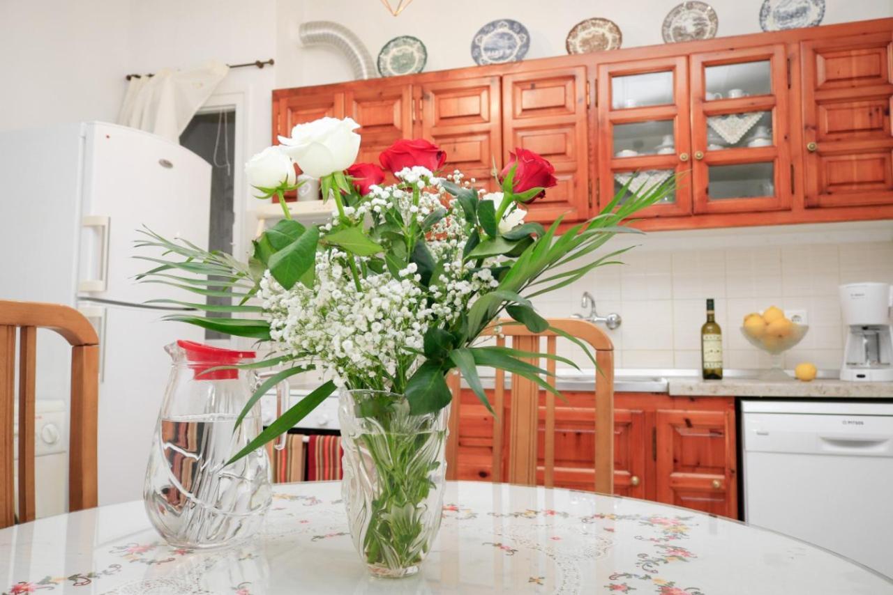 Ilioditi Apartment Skiathos Town